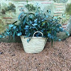 Pack D.I.Y. Cesta Provenzal