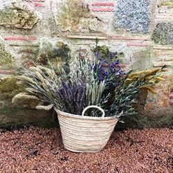 Pack D.I.Y. Cesta Toscana