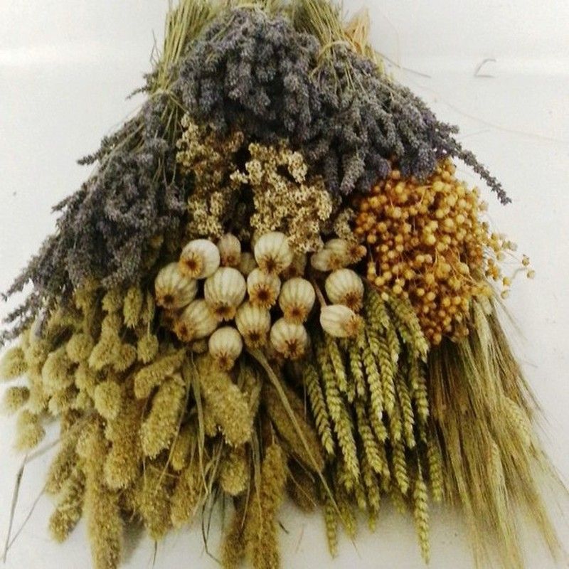 Pack Flores Secas Natural Lavanda