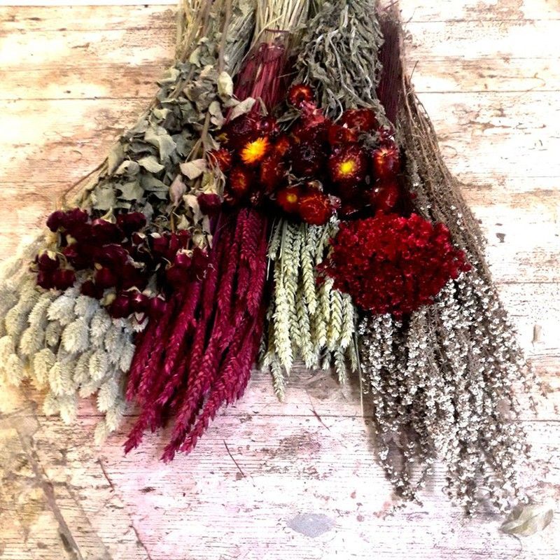 Pack Flores Secas Rojo