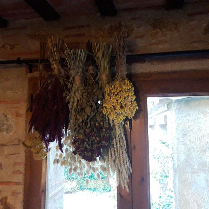 Pack Flores Secas Silvestre P