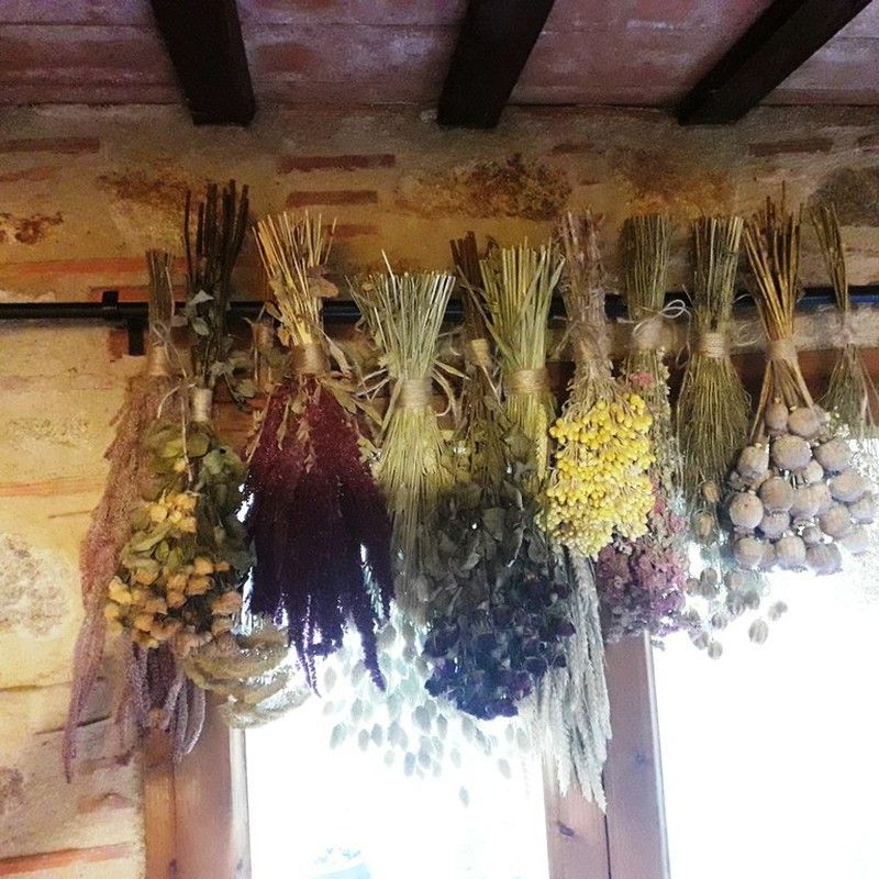 Pack Flores Secas Silvestres G