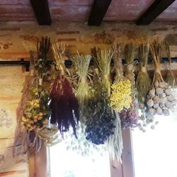 Pack Flores Secas Silvestres G