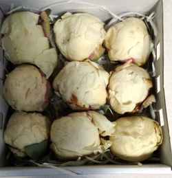 Paeonias Preservadas Medianas Caja 4 uds.