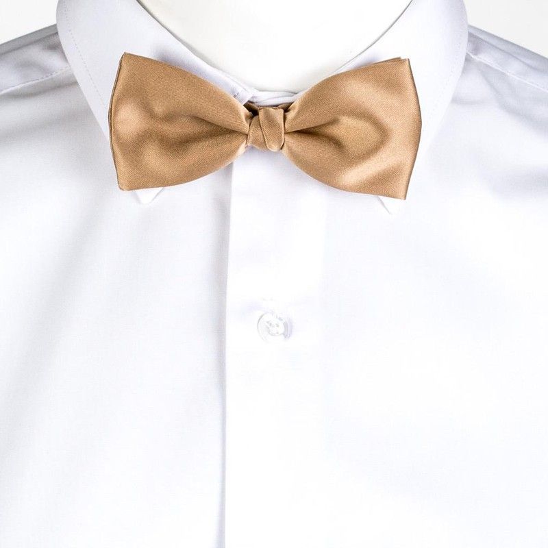 Pajarita varios colores