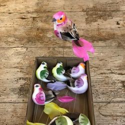 Pajaritos Pequeños Pack 6 uds.