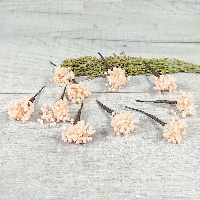 Paniculata en Colores para el Pelo