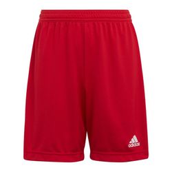 Pantalón corto Adidas Ent22 Sho