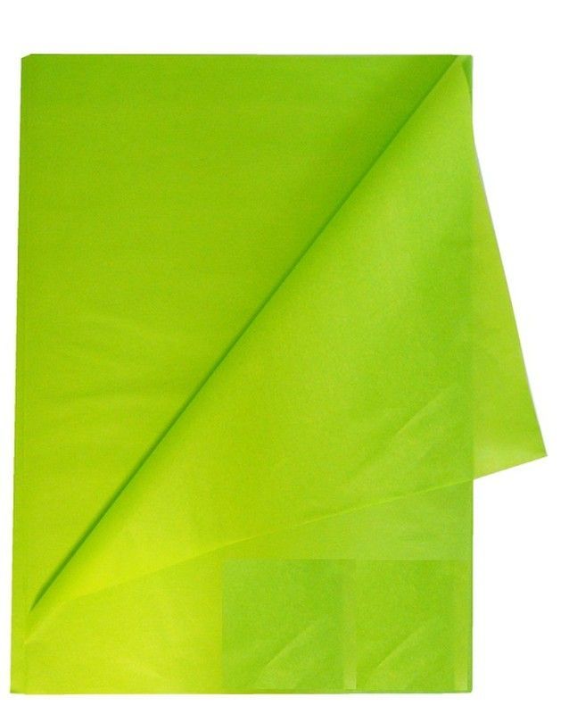 Papel seda 26 hojas 50 x 70 cm, verde claro