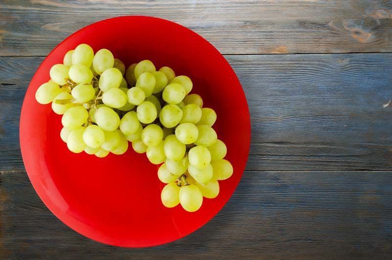 Parra Aledo. Plantas de vid a raíz desnuda. Uva de fin de año