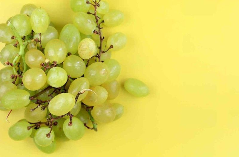 Parra de uva Superior Seedless