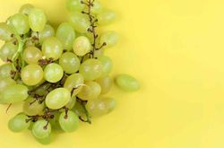 Parra de uva Superior Seedless