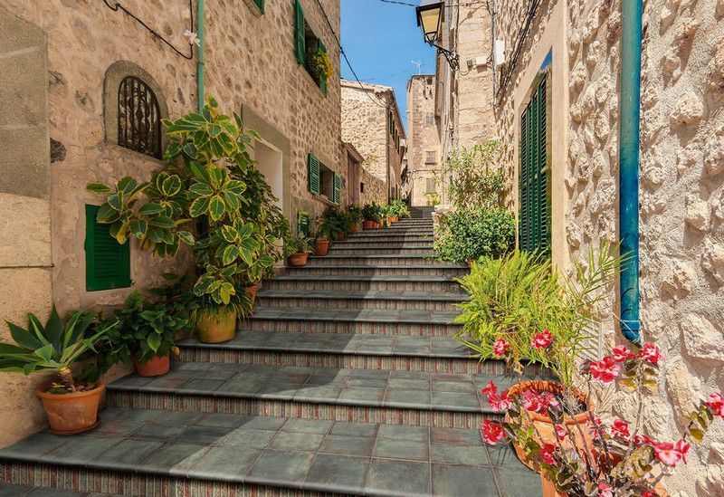 Peldaño curvo porcelanico antideslizante 22,5x33x4 D'Anticato Muschio Natucer