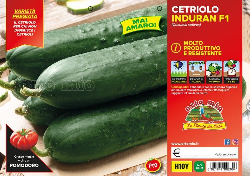 Pepino Indurain 4 Plantas En Pack