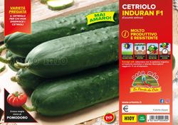 Pepino Indurain 4 Plantas En Pack