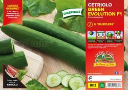 Pepino Largo Burples 4 Plantas En Pack