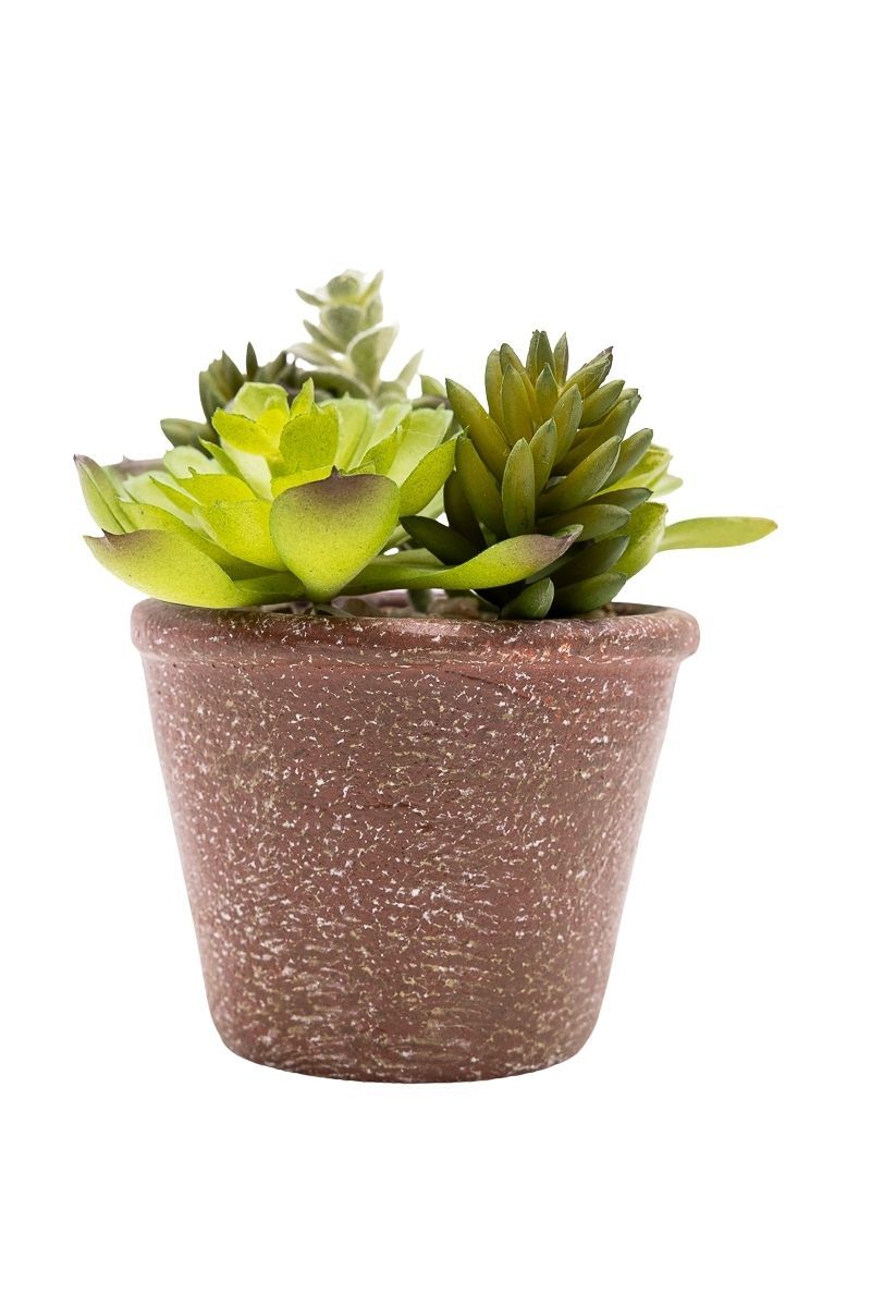 Pequeña composición de suculentas artificiales