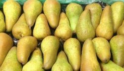 Pera Abate C-24 ITALIA