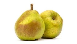 Pera Decana del Comizio C-24  ITALIA