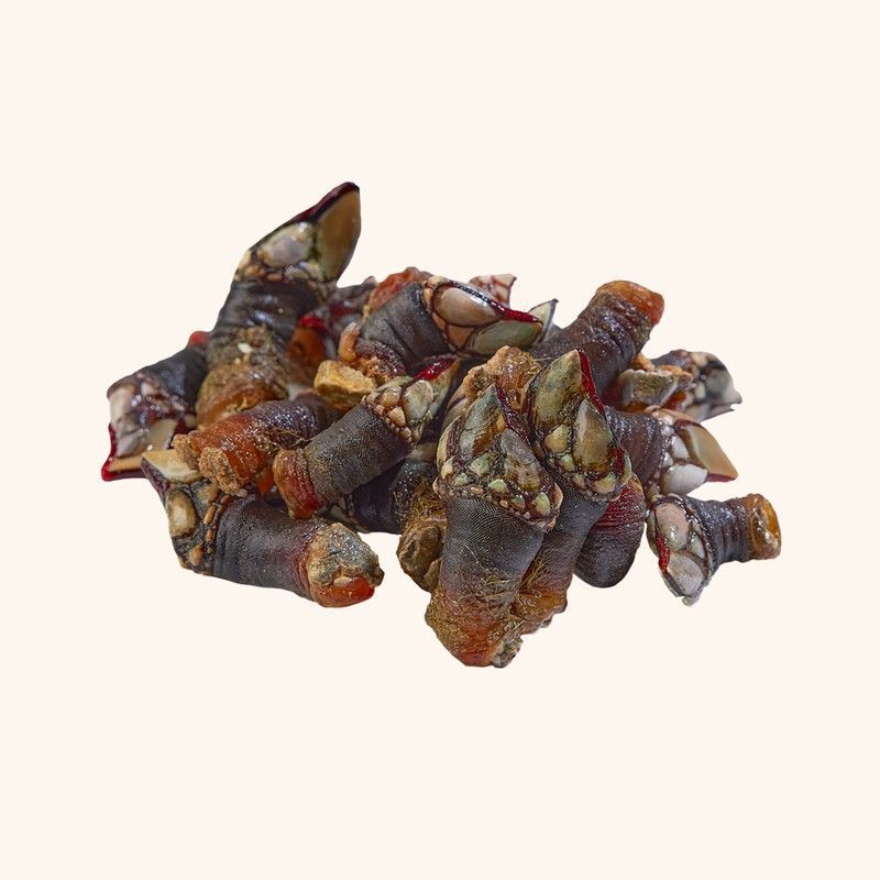 Percebes Gallegos tamaño M-G (500gr)