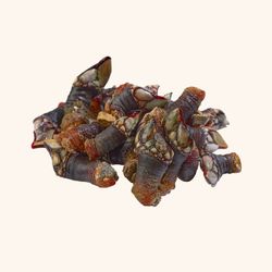 Percebes Gallegos tamaño M-G (500gr)