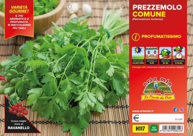 Perejil Común Perfumado 6 Plantas en Pack