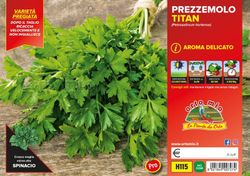 Perejil Comun Titan 6 Plantas en Pack