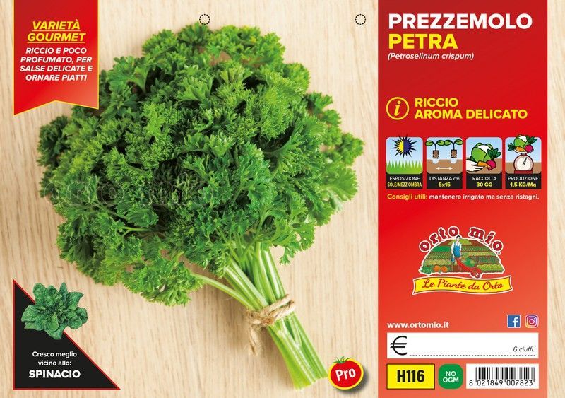 Perejil Rizado Petra 6 Plantas en Pack