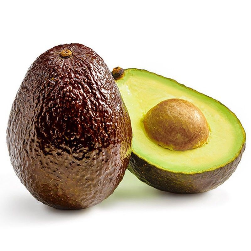 PERSEA AMERICANA (AGUACATE)