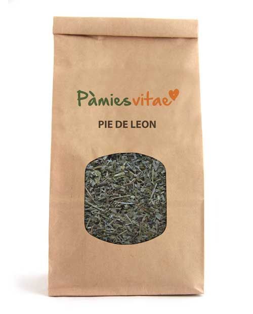 PIE DE LEON - Alchemilla vulgaris Bolsa 120 g