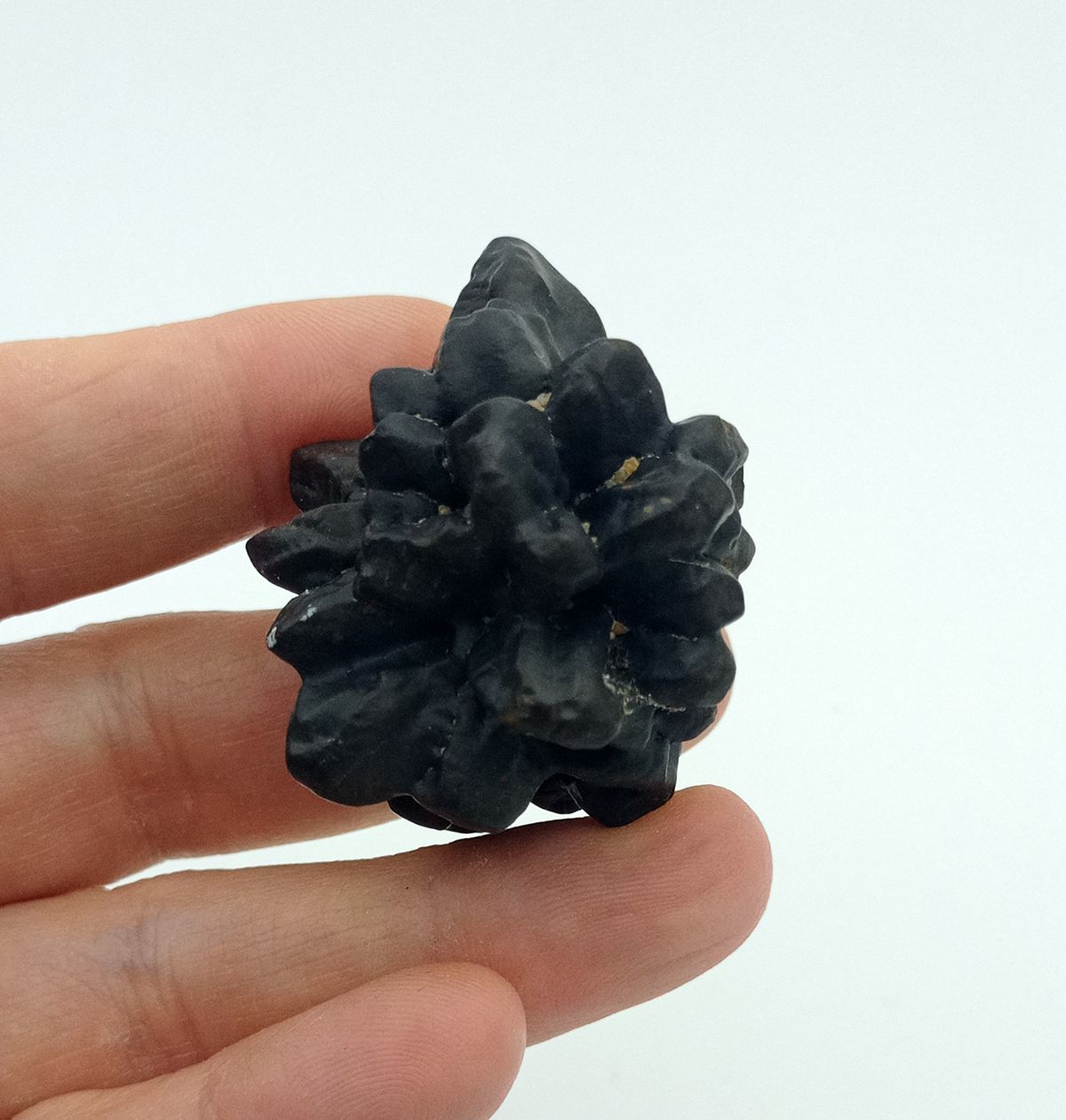 Piedra de la Profecía (Nódulo de Marcasita) - Ref.11