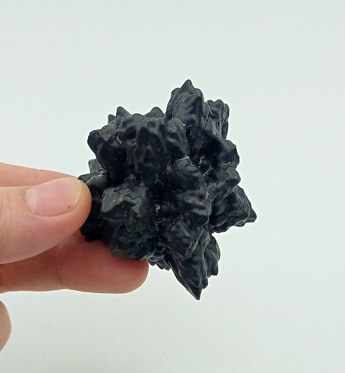 Piedra de la Profecía (Nódulo de Marcasita) - Ref.13