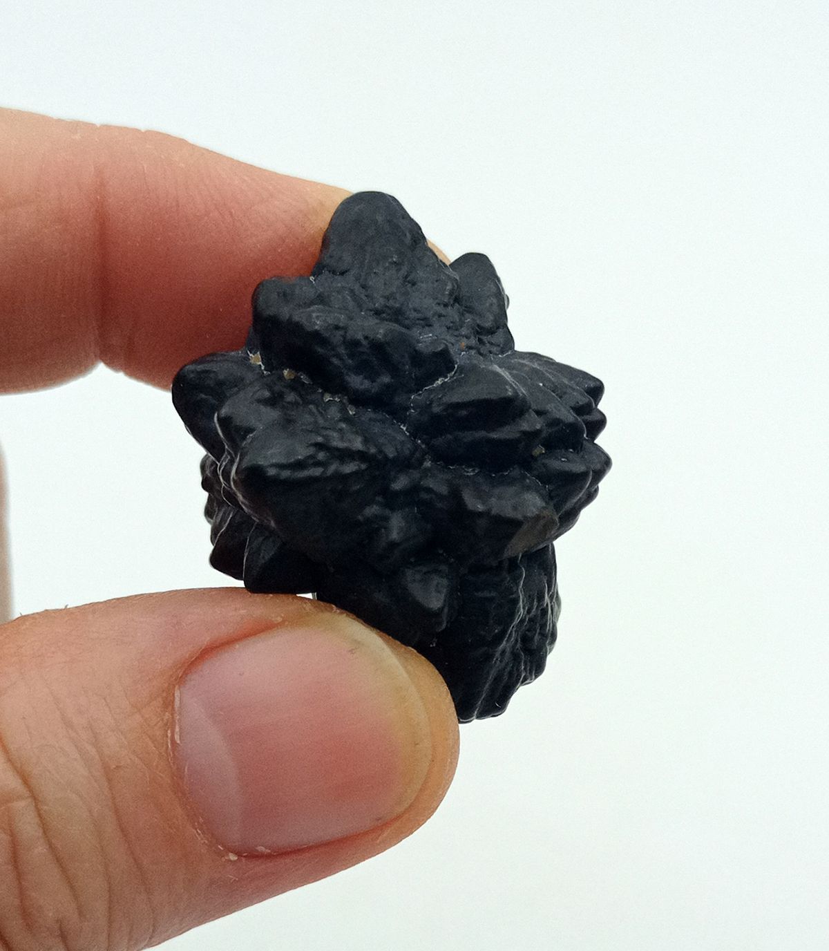 Piedra de la Profecía - Ref.9