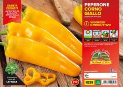 Pimiento Cuerno Toro Amarillo Astor 6 Plantas en Pack
