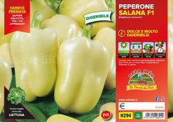 Pimiento Digerible Citrino 6 Plantas En Pack