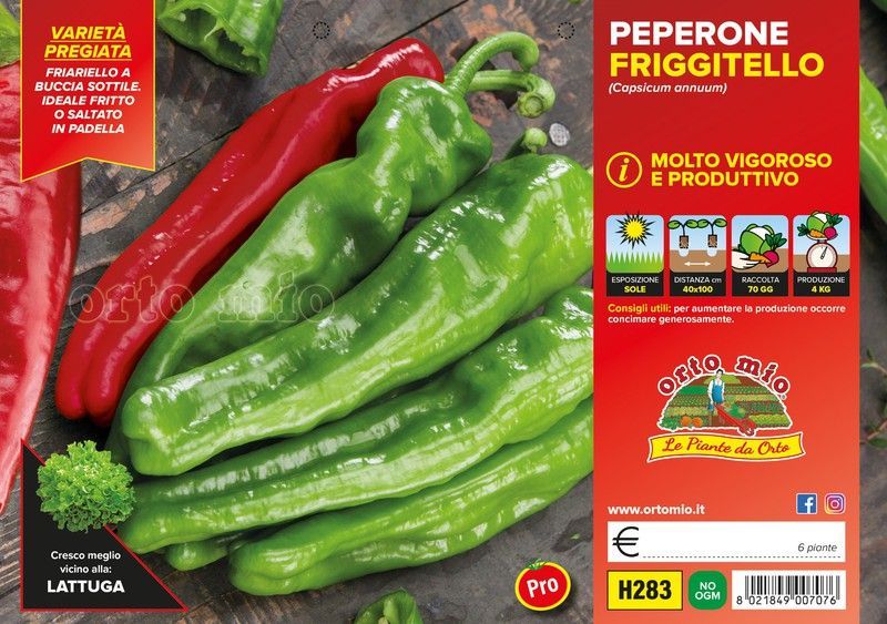 Pimiento Friggitello F1 Napolitano Friarello 6 Plantas En Pack