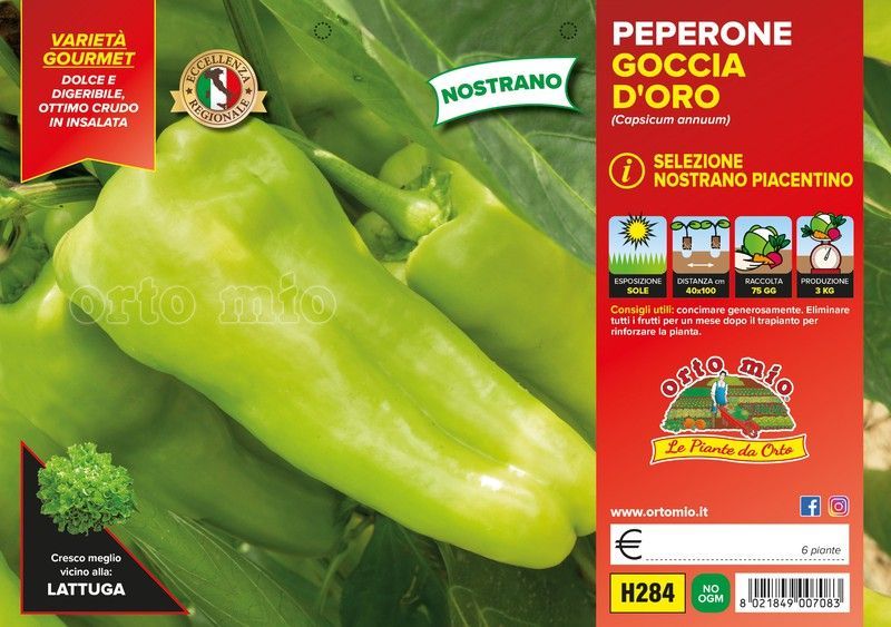 Pimiento Nostrano Piacentino 6 Plantas en Pack