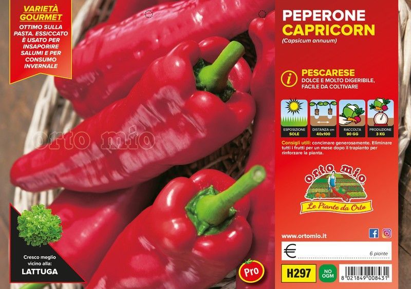 Pimiento Pescarese Capricorn 6 Plantas en Pack