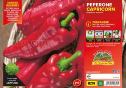 Pimiento Pescarese Capricorn 6 Plantas en Pack