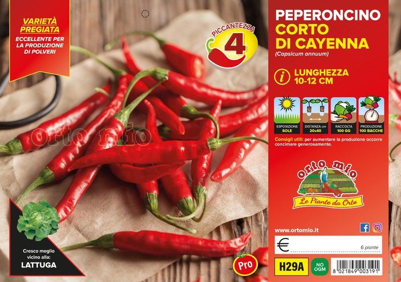 Pimiento Picante Cayenna 6 Plantas En Pack