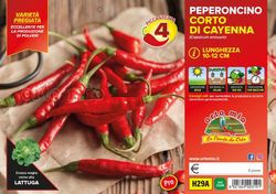 Pimiento Picante Cayenna 6 Plantas En Pack