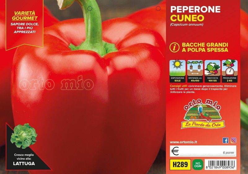 Pimiento Piemontese Rojo De Cuneo 6 Plantas En Pack