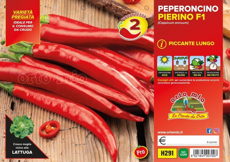Pimiento Romital F1 Picante Largo 6 Plantas En Pack
