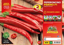 Pimiento Romital F1 Picante Largo 6 Plantas En Pack