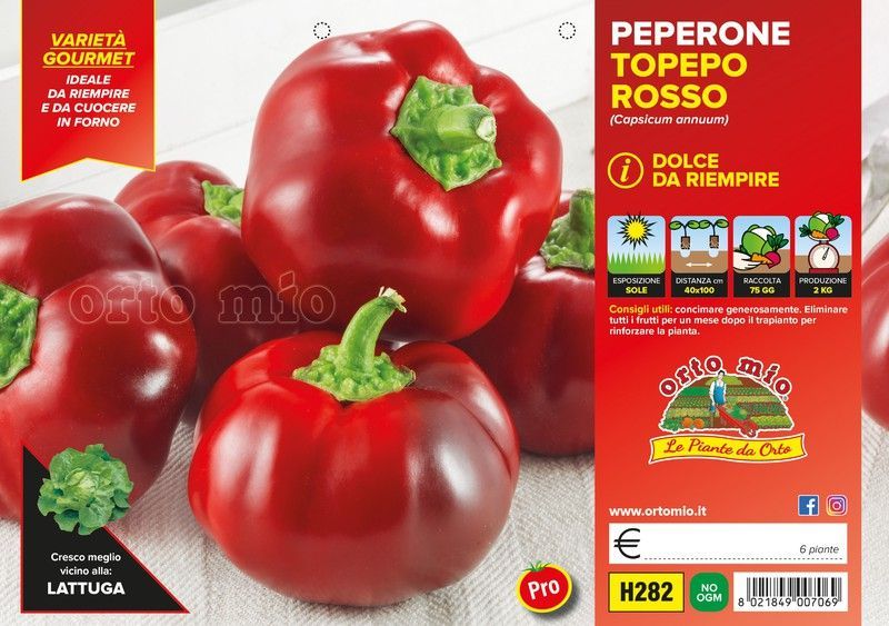 Pimiento Topepo Rojo Para Hornear 6 Plantas En Pack