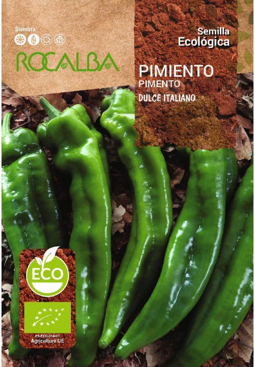 Pimiento verde dulce italiano eco
