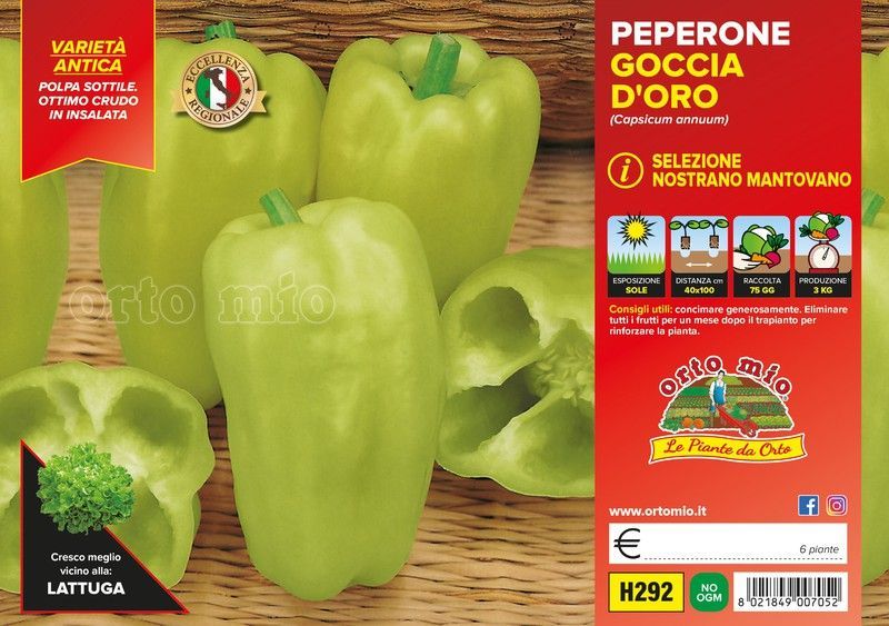 Pimineto Nostrano Mantovano 6 Plantas en Pack