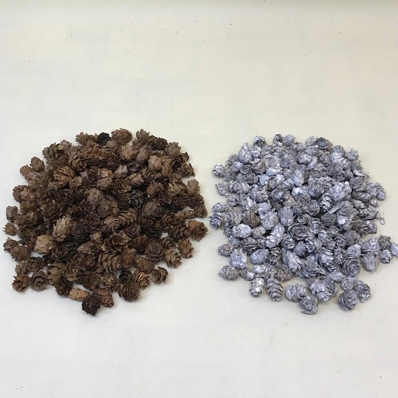 Piñas Naturales Mini