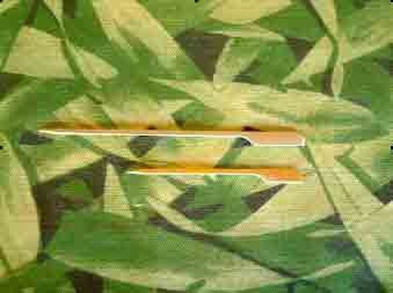 Pincho / Brocheta 150 mm Flecha (100 u.)