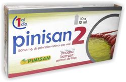 Pinisan 2 10 Viales